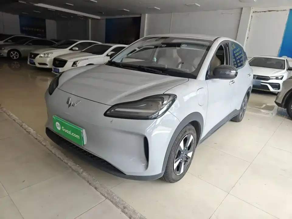 Wuling Motors Wuling Binguo PLUS Model 330km 5-Seater 2024