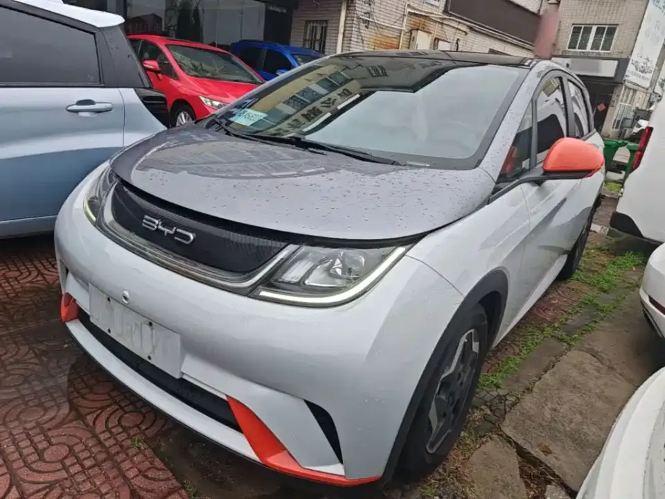 BYD Dolphin Model 405km Fashion Edition 2022