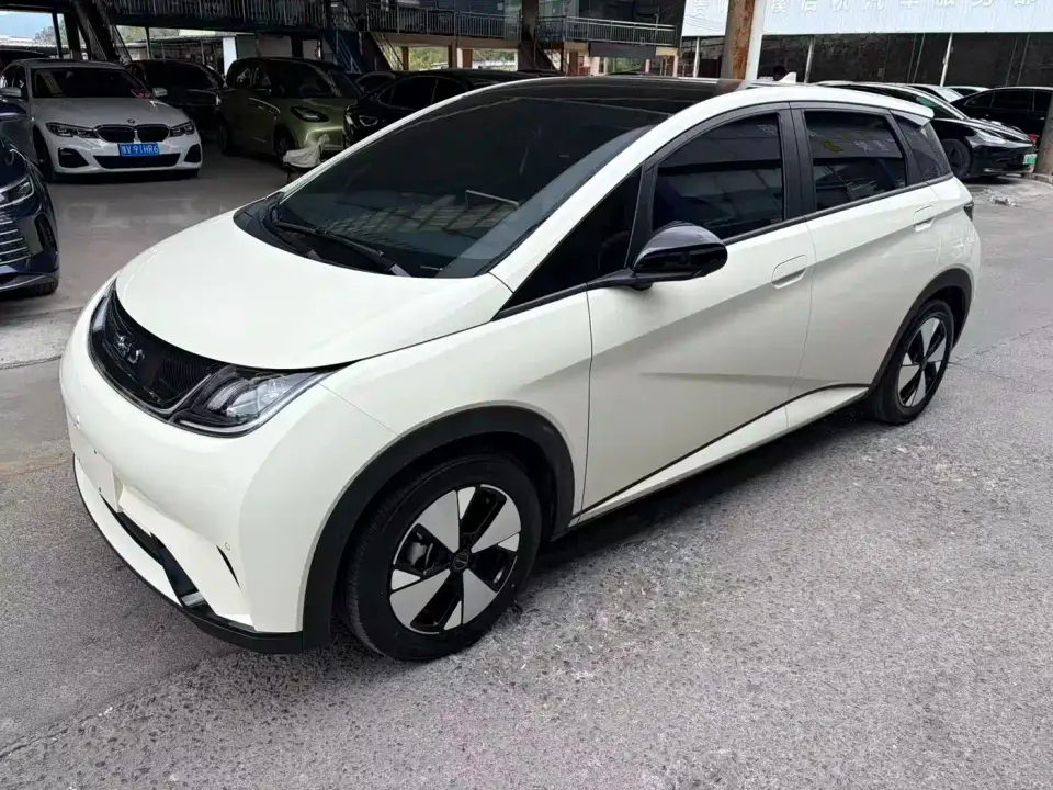 BYD Dolphin Glory Edition 420km Fashion Edition 2023