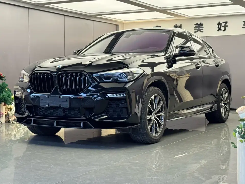 BMW X6 xDrive30i M Sport Package 2021