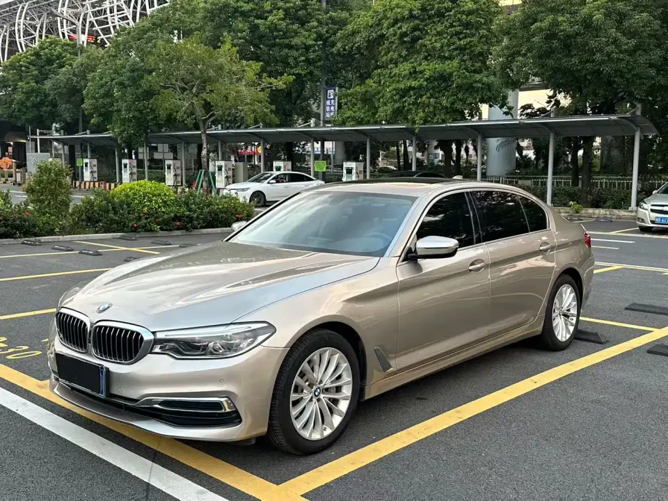 BMW 5 Series 530Li Leading Luxury Package 2020