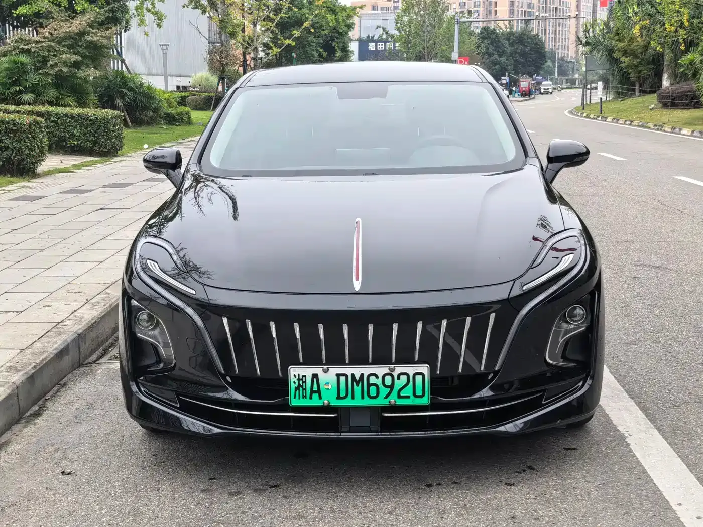 Hongqi E-QM5 431km Charging Enjoyment Edition 2022 — фото 2