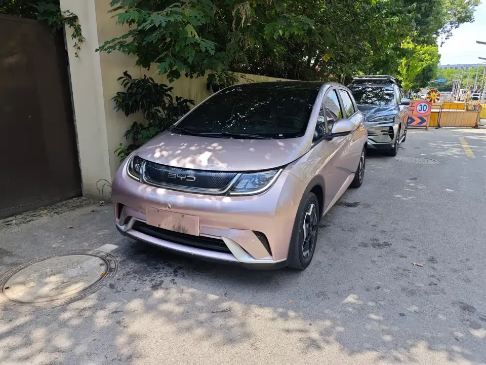 BYD Dolphin Model 405km Fashion Edition 2020