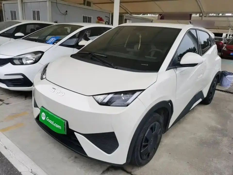BYD Seagull Smart Drive Edition 305km Vitality Version 2025