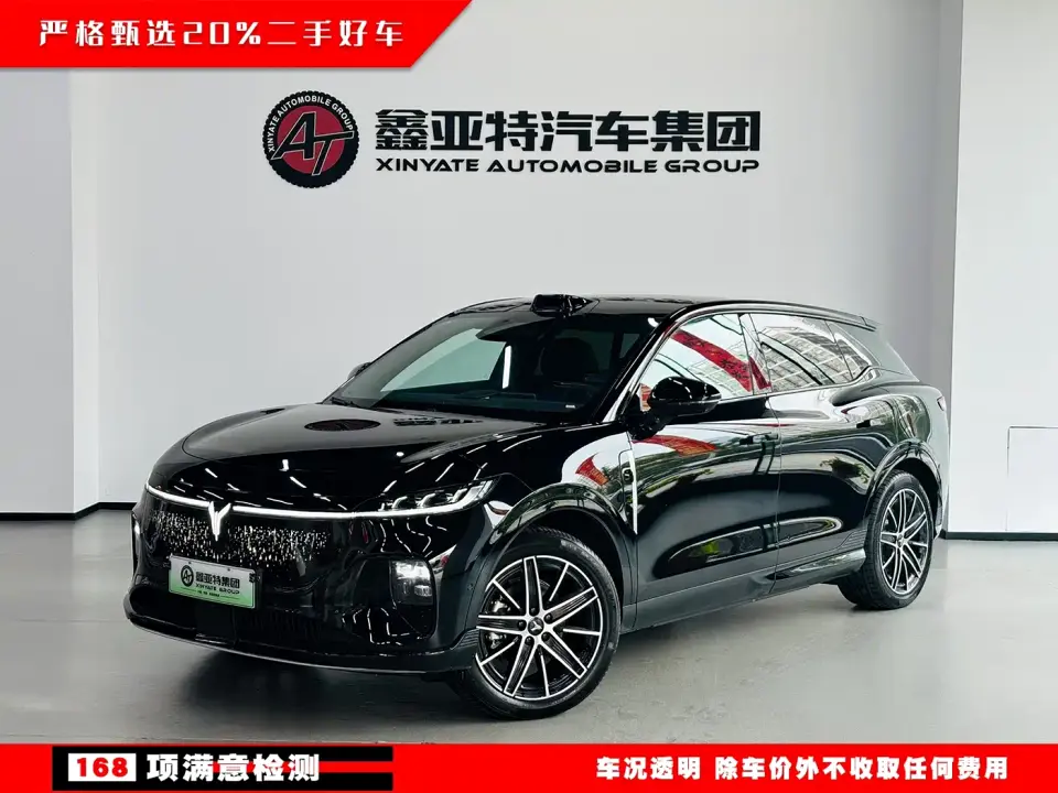Voyah Auto Voyah Zhiyin Base 2025