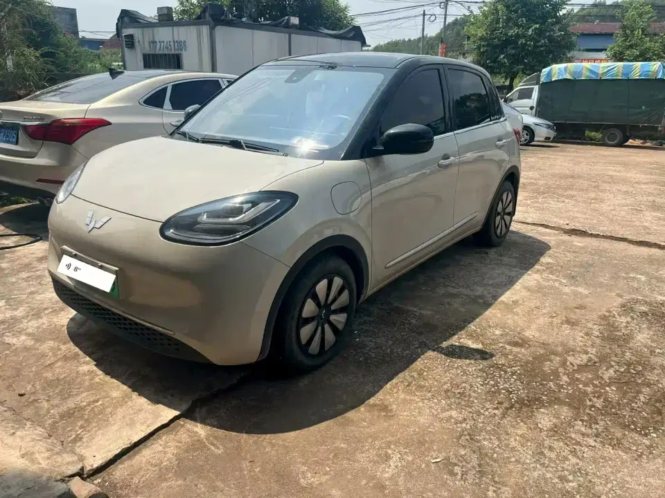 Wuling Motors Wuling Bingo 333km Smart Connectivity Edition 2024