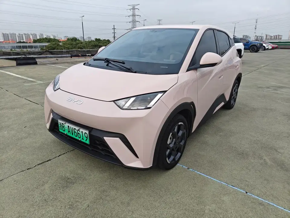 BYD Seagull 305km Freedom 2024