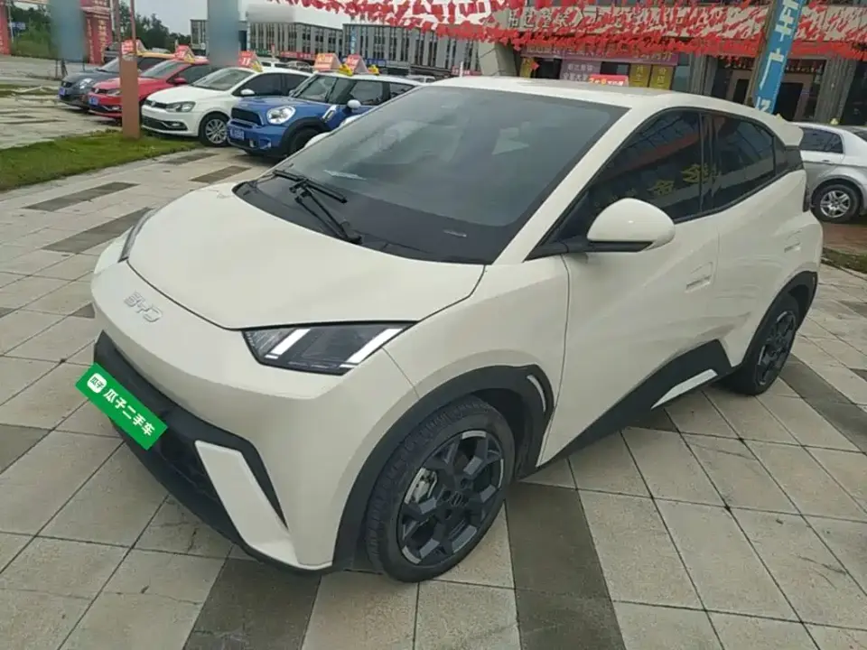 BYD Seagull 305km Freedom 2025