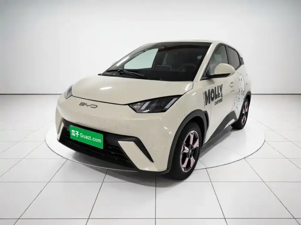 BYD Seagull Flying Edition 2023