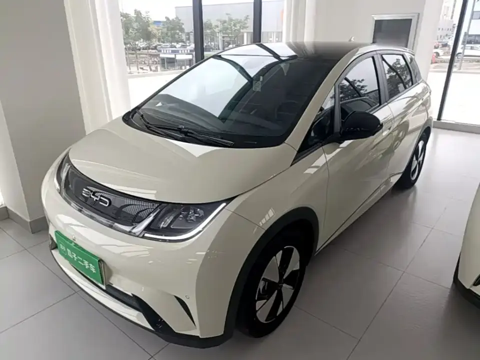 BYD Dolphin 420km Fashion Edition 2023