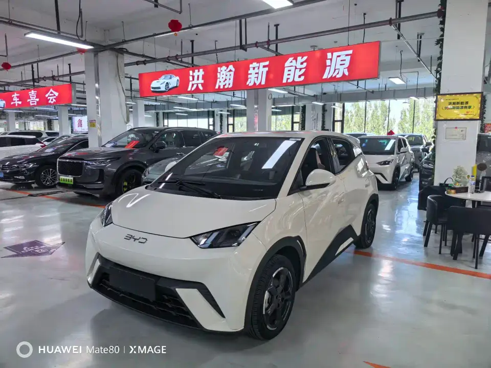 BYD Seagull Flying Edition 2023