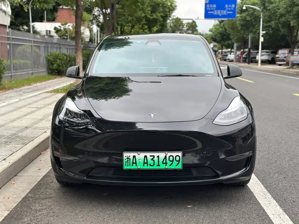 Tesla Model Y Rear-Wheel Drive Version 2022