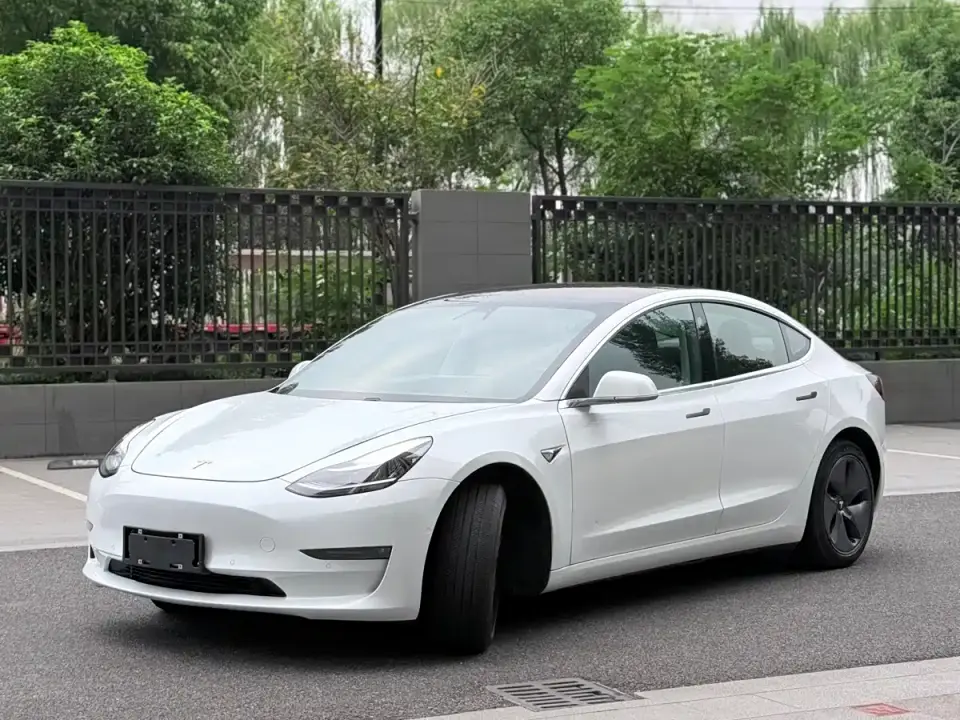 Tesla Model 3 (Import) Long Range RWD Version 2019