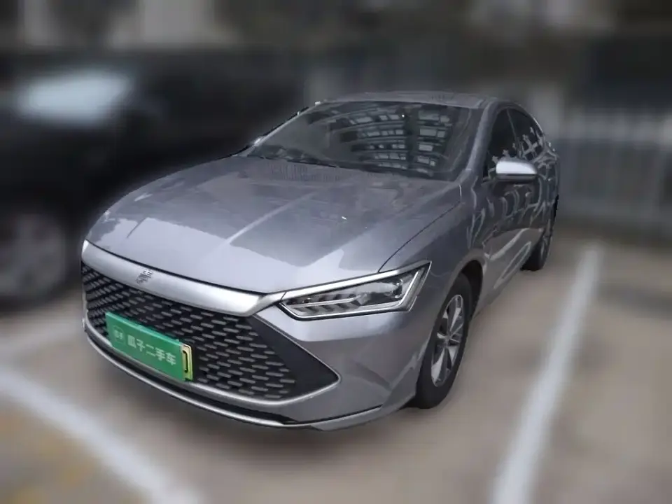 BYD Qin PLUS Champion Edition DM-i 55KM Leading 2024