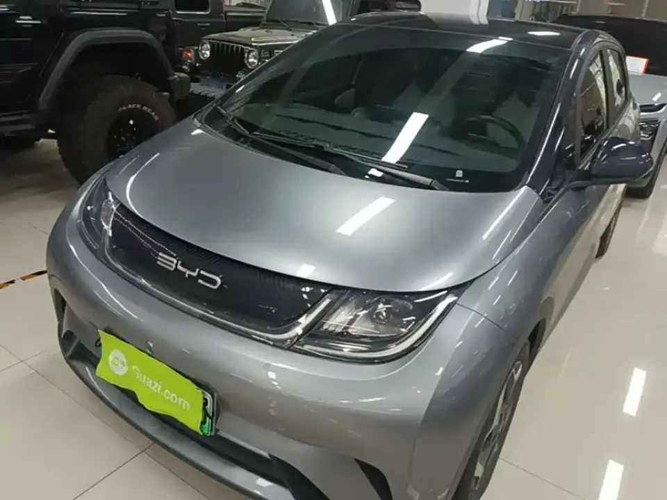 BYD Dolphin Model 405km Fashion Edition 2022