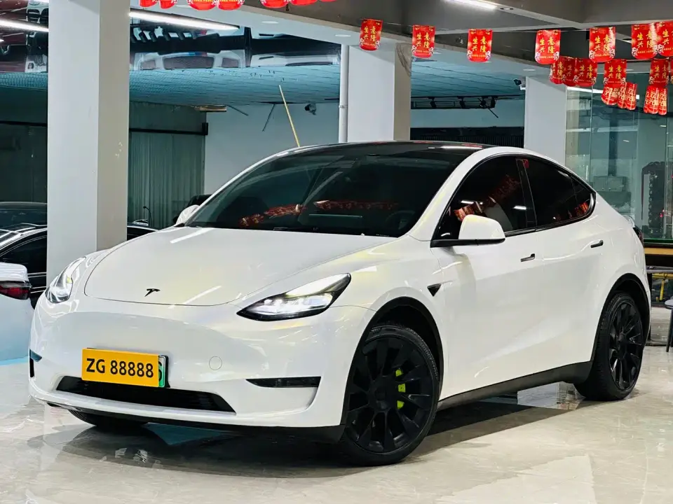 Tesla Model Y Standard Range Rear-Wheel Drive 2021