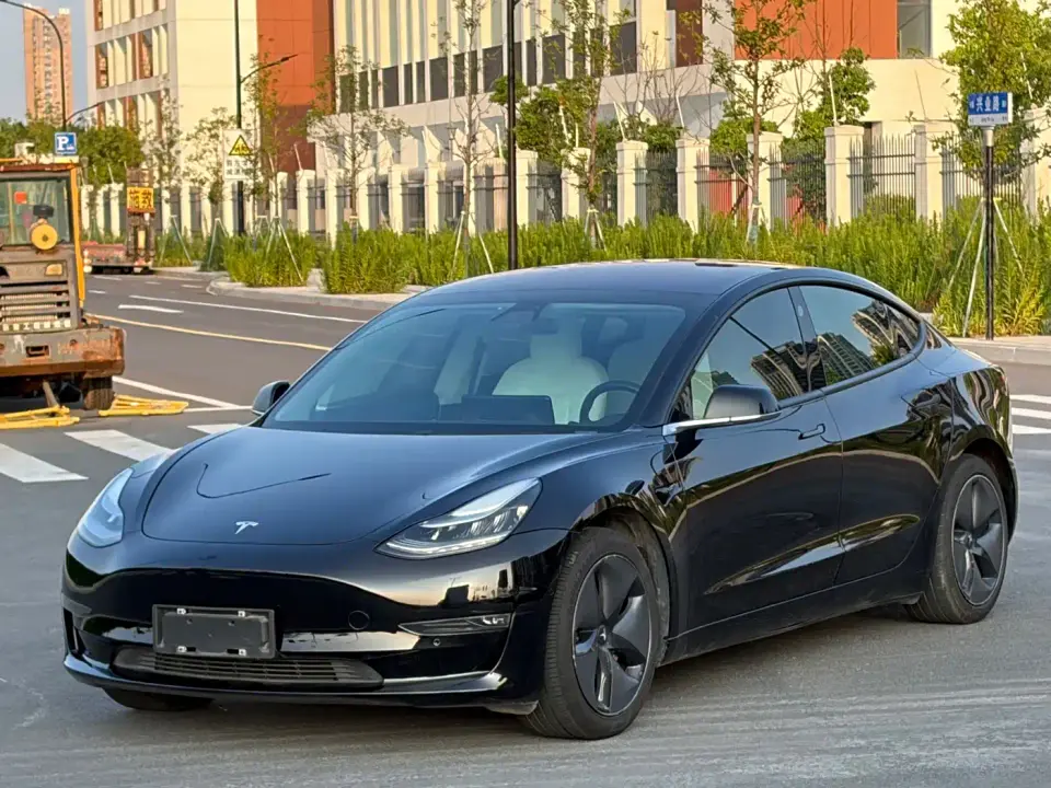 Tesla Model 3 (Import) Long Range RWD Version 2019