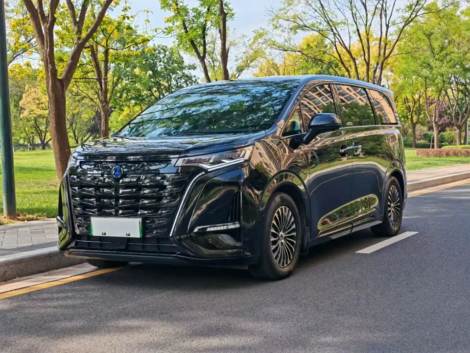 Denza D9 DM-i 980 AWD Premium 2025