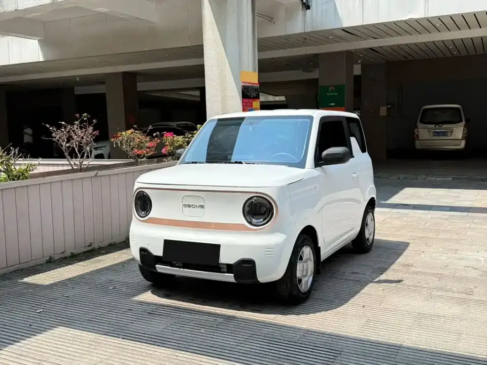 Geely Galaxy Panda Panda Mini 200km Endurance Bear 2023