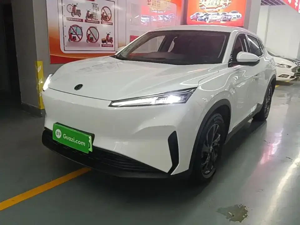Dongfeng Aeolus SKY EV01 530km PRO 2024