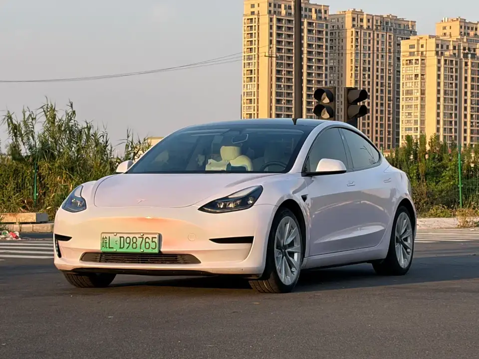 Tesla Model 3 Standard Range Rear-Wheel Drive Upgrade 2021