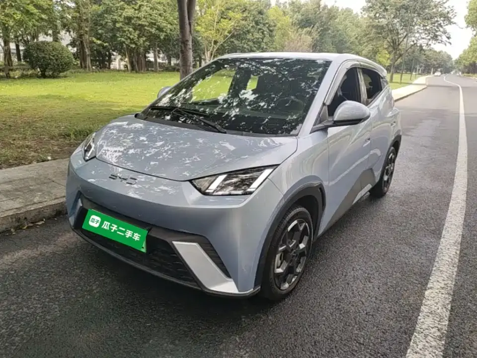 BYD Seagull Glory Edition 305km Freedom Edition 2025