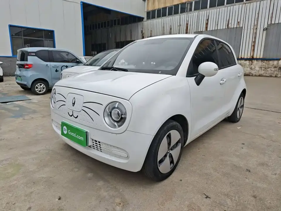 ORA Black Cat 301km Pet Edition 2021