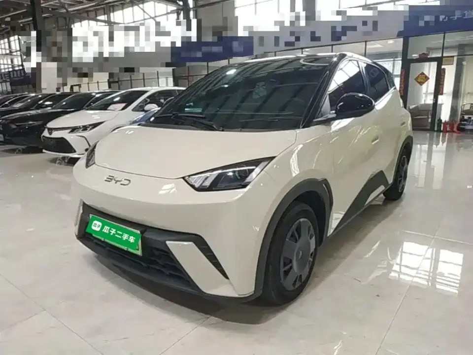 BYD Seagull 305km Vitality 2024
