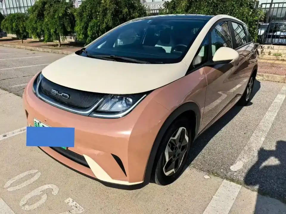BYD Dolphin Model 405km Fashion Edition 2021
