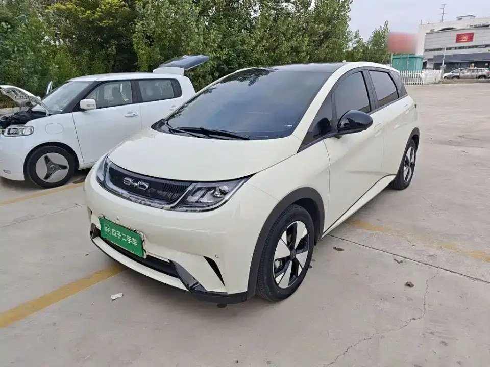BYD Dolphin 420km Fashion Edition 2023