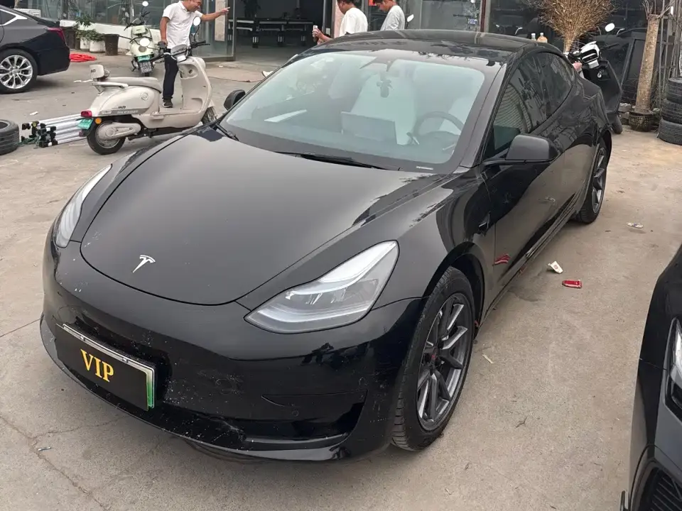 Tesla Model 3 Standard Range Rear-Wheel Drive Upgrade 3D6 2022