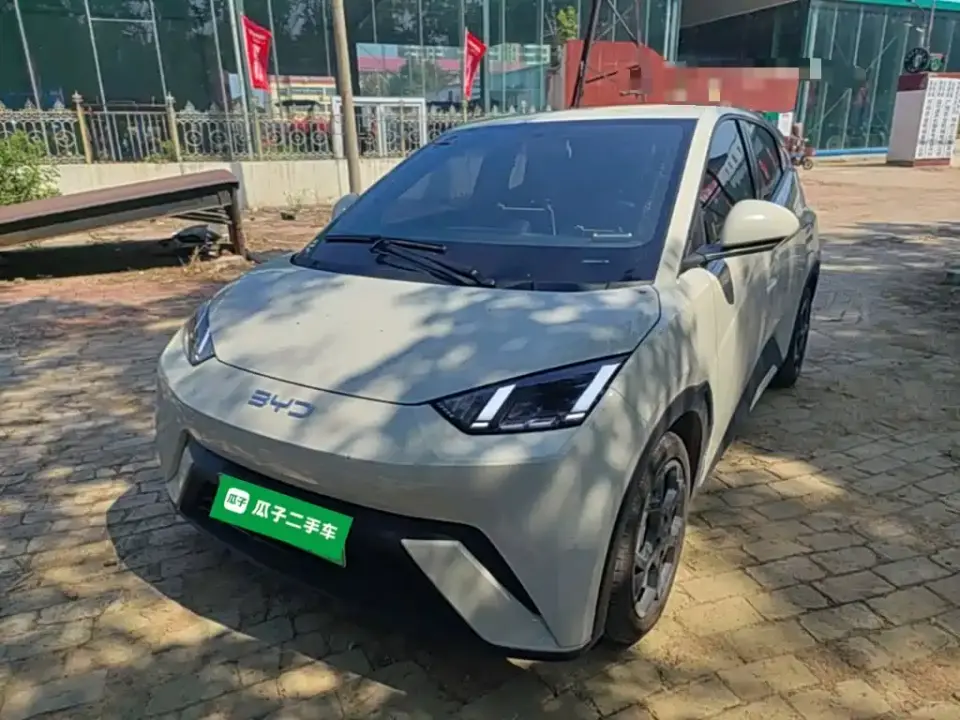 BYD Seagull 305km Freedom 2024