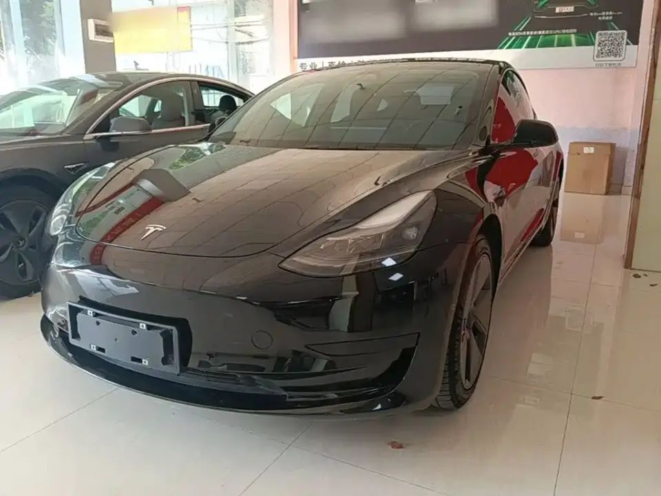Tesla Model 3 Model Rear-Wheel Drive Version 2022