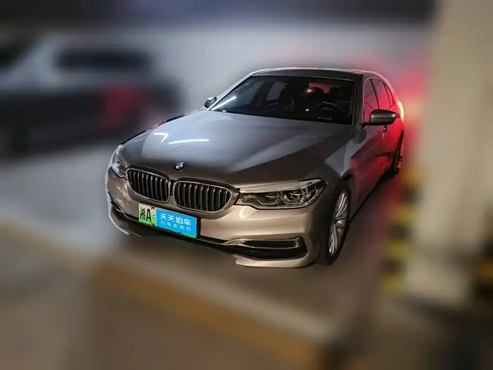 BMW 5 Series New Energy 530Le Range Upgrade Luxury Package 2020