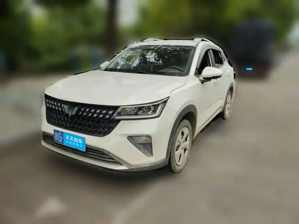 Wuling Motors Wuling Xingchi 1.5L Manual Freedom Edition 2024