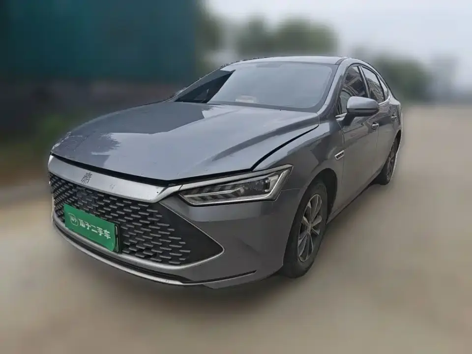 BYD Qin PLUS Glory Edition DM-i 55KM Leading 2025
