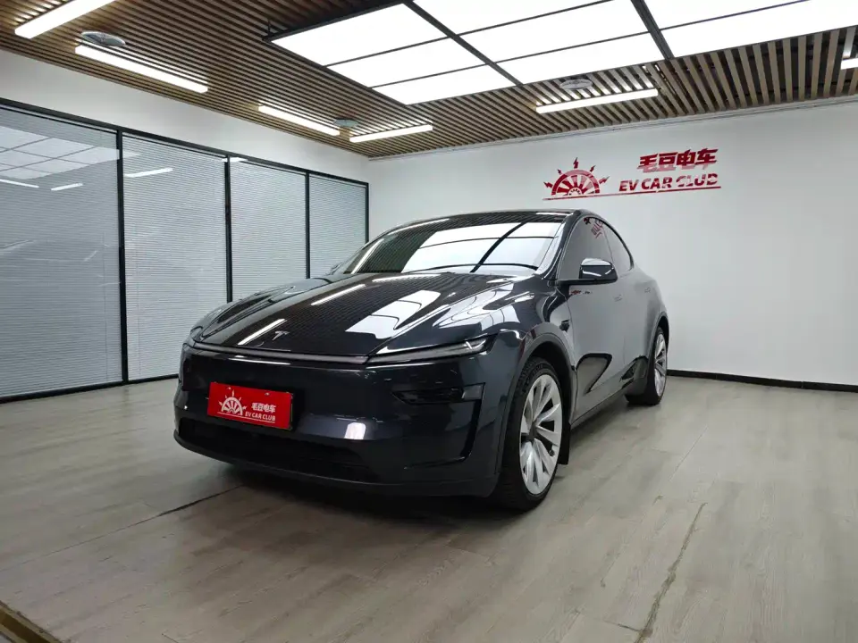Tesla Model Y Model Long Range All-Wheel Drive Launch Edition 2025