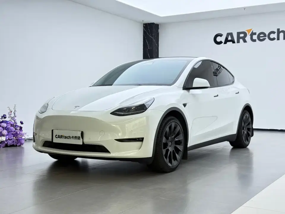 Tesla Model Y Long Range AWD 2022