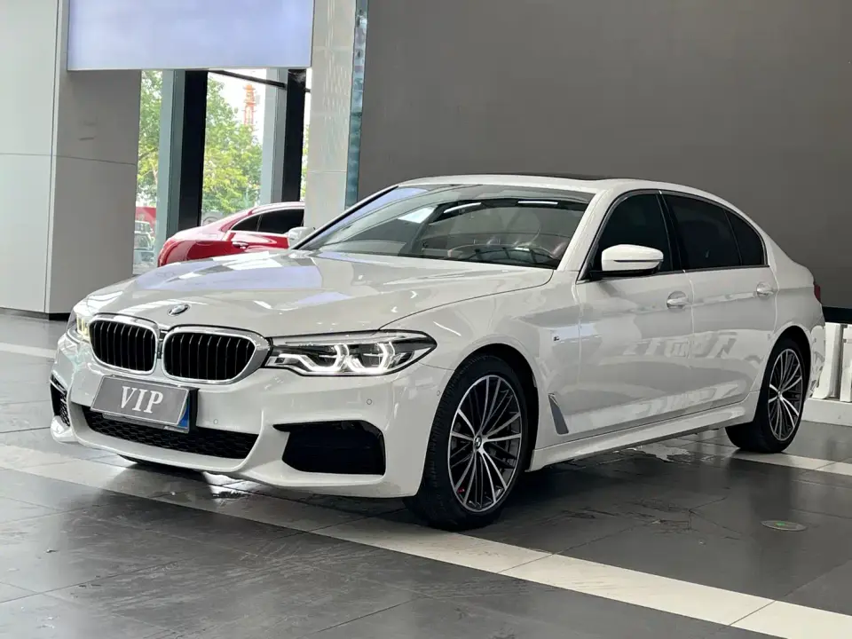 BMW 5 Series 530Li Leading M Sport Package 2020