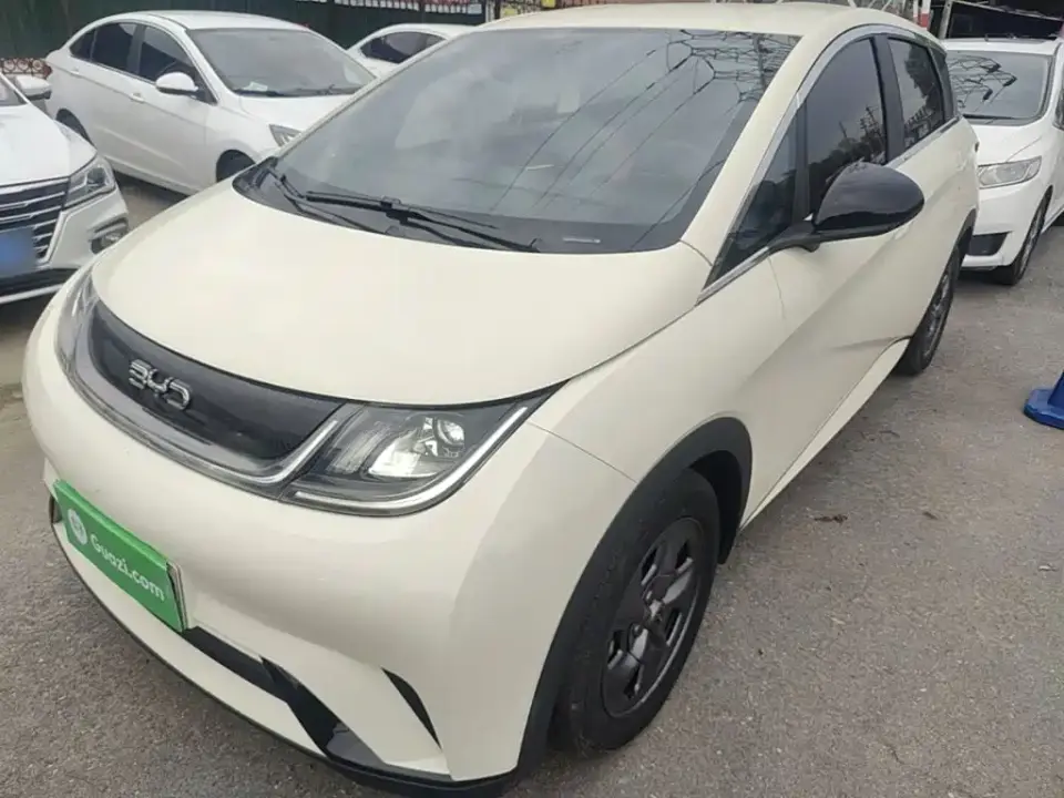 BYD Dolphin Glory Edition 302km Vitality 2024