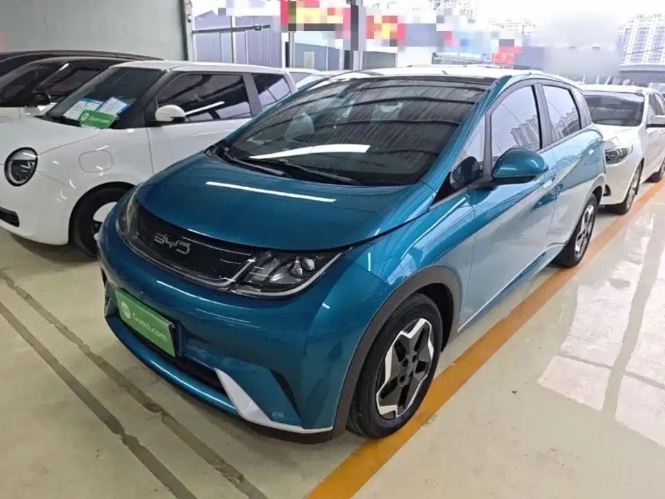 BYD Dolphin Model 405km Fashion Edition 2022