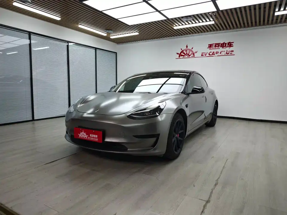 Tesla Model 3 Model Rear-Wheel Drive Version 2022