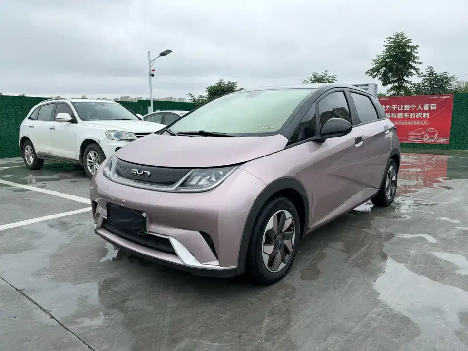 BYD Dolphin Glory Edition 420km Fashion Edition 2024
