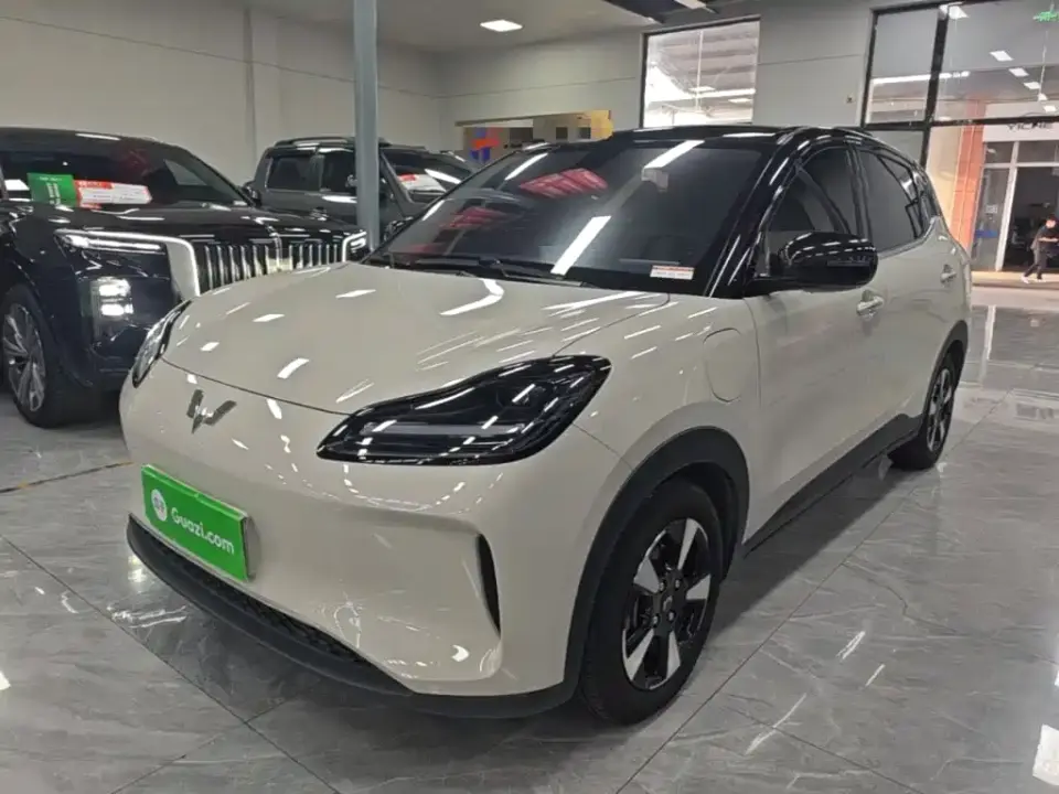Wuling Motors Wuling Binguo PLUS Model 330km 5-Seater 2024