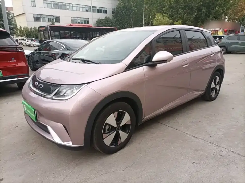 BYD Dolphin 420km Freedom Edition 2024