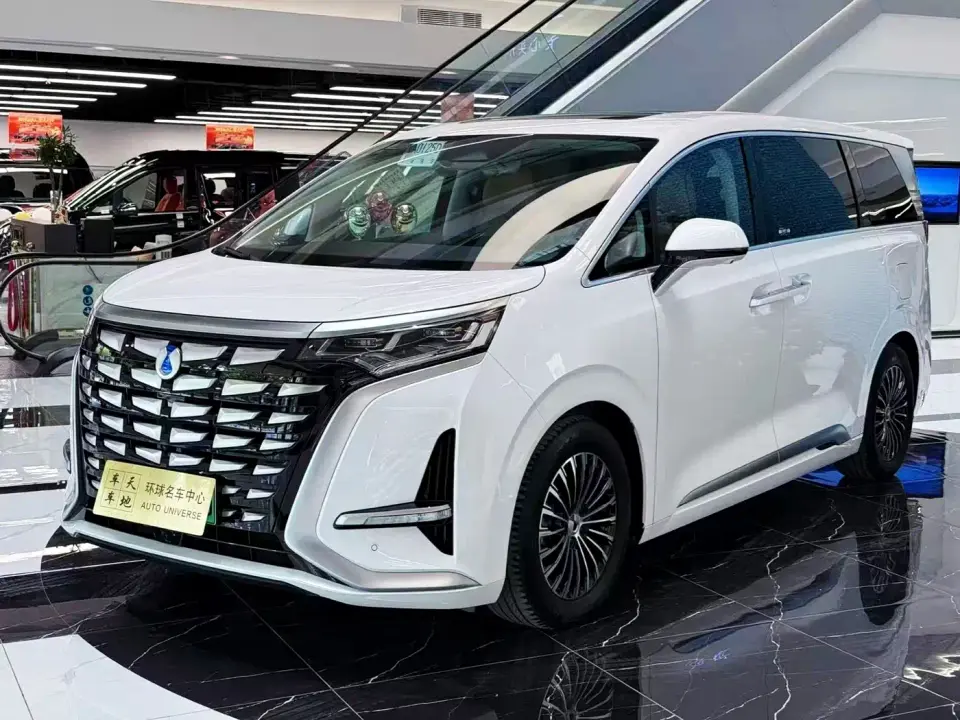 Denza D9 DM-i 980 AWD Premium 2024