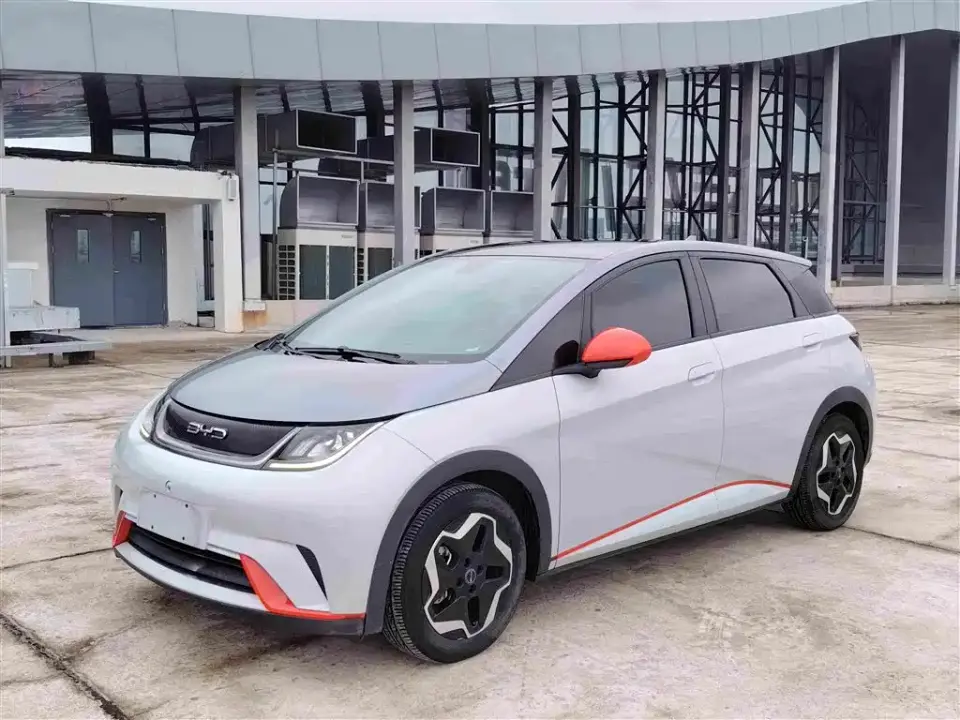 BYD Dolphin Model 405km Fashion Edition 2021