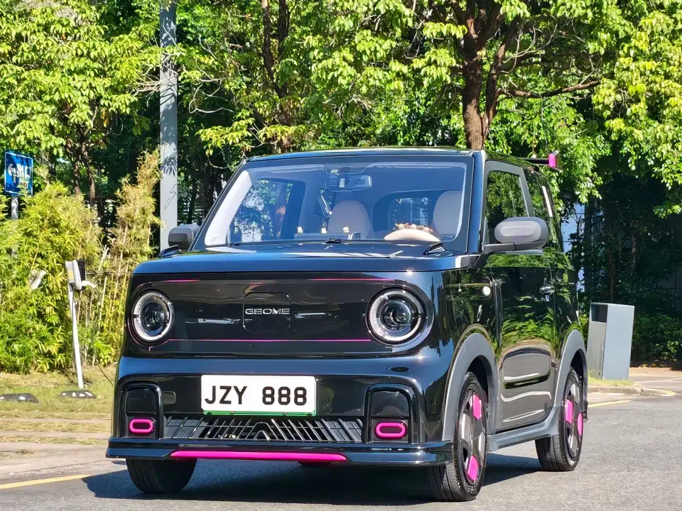 Geely Galaxy Panda 200km Panda Kart 2024