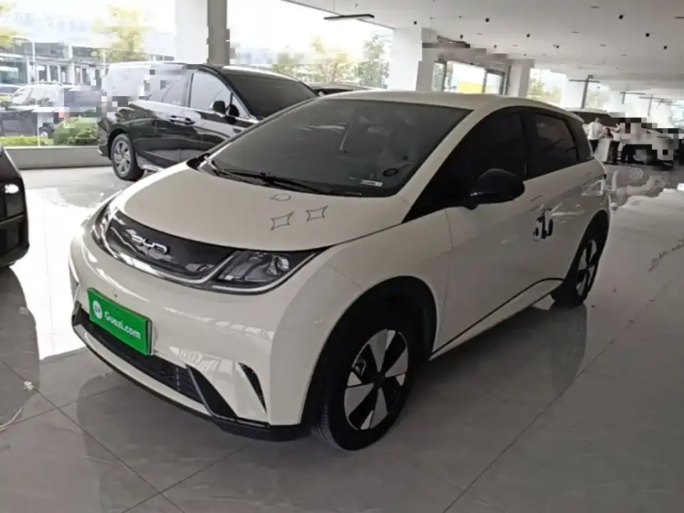 BYD Dolphin 420km Freedom Edition 2024
