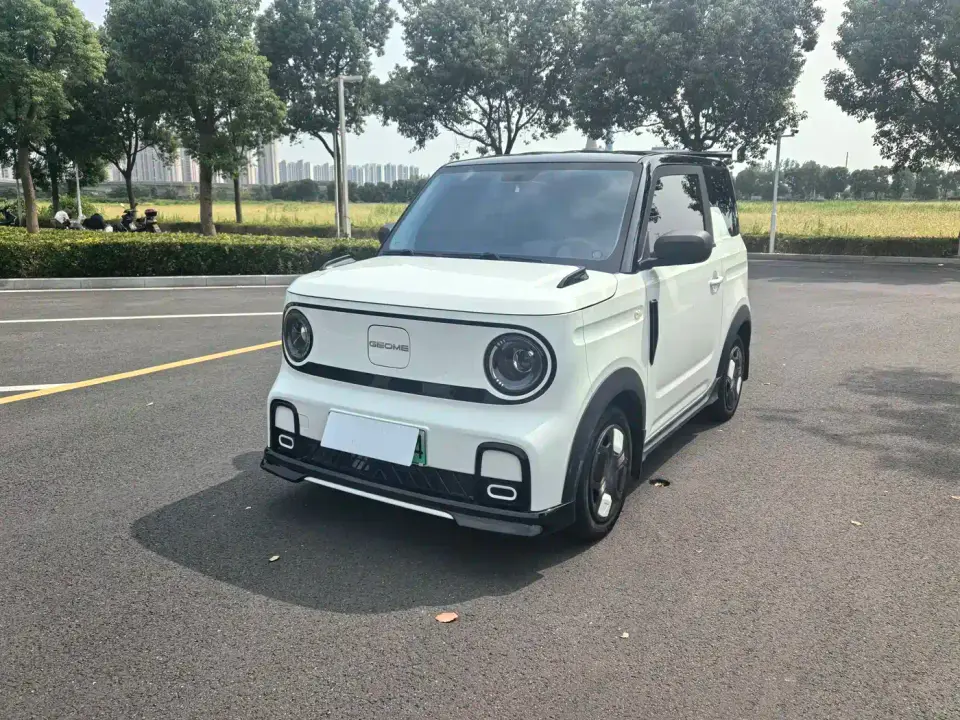 Geely Galaxy Panda Model Year 210km Panda Kart 2025